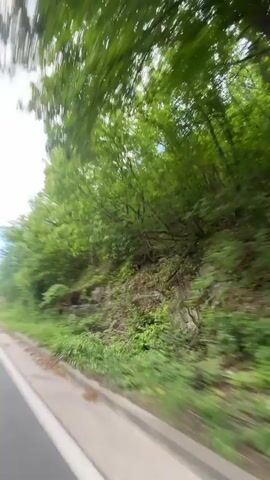 The video begins with a close-up of grass and foliage moving rapidly, seemingly from a low angle, possibly near the ground. The perspective then shifts to reveal a person sitting in a white car, giving a thumbs-up. The camera angle changes again, showing the car's exterior and the road moving past, suggesting the car is in motion. The final portion of the video shows the view from inside the car as it drives along a road with green trees on either side. A road sign indicating a sharp curve and a speed limit of 30 is visible on the right side of the road. The sky is visible with some clouds.