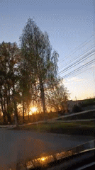 Driver documents sunset view through trees on roadway