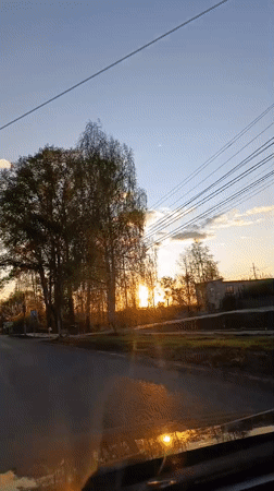 Driver documents sunset view through trees on roadway