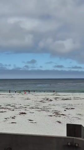 This media file captures a scenic view of a beach with several people enjoying the water and sand. The scene is set on a bright, overcast day, with a mix of blue sky and dramatic grey clouds filling the upper portion of the frame. The ocean stretches out towards the horizon, with gentle waves lapping at the shore.

In the middle ground, a group of people are visible in the water, some appearing to be swimming or playing in the surf, while others might be wading. A few individuals are also present on the sandy beach, walking or standing near the water's edge. The beach itself is covered in white sand, with scattered pieces of dark seaweed, suggesting a natural, somewhat untamed coastal environment. The foreground features a wooden structure, possibly a railing or part of a pier, which adds a sense of perspective and frames the beach scene.

The overall mood conveyed is one of a pleasant day at the beach, with people engaging in typical recreational activities. The weather appears to be mild, with the clouds suggesting a possibility of cooler temperatures or a transition in weather. The presence of seaweed and the natural beauty of the coastline hint at a location like Carmel-by-the-Sea, known for its picturesque beaches and coastal charm. There is no visible text in the media file.