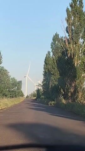 The video shows a paved road stretching into the distance. On the left side of the road, there are fields and scattered trees. On the right side of the road, a dense line of tall, leafy trees creates a visual barrier. In the distance, several large white wind turbines are visible against a clear blue sky. The lighting suggests it is daytime, likely morning or late afternoon, due to the long shadows cast on the road by the trees on the right. The camera appears to be positioned inside a vehicle, looking forward. The overall scene depicts a rural landscape with renewable energy infrastructure.