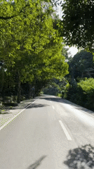 Tropical forest road captured in Payangan, Indonesia