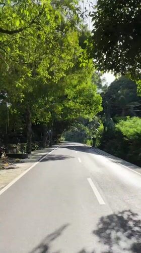 Tropical forest road captured in Payangan, Indonesia