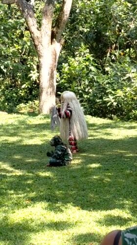 Barong dance and monkeys at Ubud's sacred forest