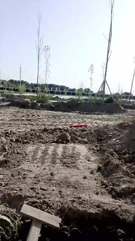 The video shows a construction site with disturbed earth and young trees. In the foreground, there is rough, uneven ground with piles of dirt and some scattered debris, including what appears to be a piece of wood. In the mid-ground, several young trees are visible, some supported by stakes and ropes. A red object, possibly a tool or piece of equipment, lies on the ground between two trees. In the background, a long, low building or structure under construction is visible, along with power lines and more trees. The sky is clear and bright, suggesting it is daytime. The overall impression is that of an undeveloped or developing area undergoing landscaping or construction.