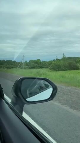 The video shows a view from the passenger side of a car driving on a road. In the foreground, the car's side mirror is visible, reflecting the sky and the interior of the car. Outside the car, a rural landscape unfolds with a road, grassy fields, trees, and utility poles. The sky is overcast with clouds. At one point, a dark, large animal, possibly a cow, appears in the grassy field to the left of the road, visible in the side mirror's reflection. The animal is in the distance and is only present for a few seconds before disappearing from view. The car appears to be moving at a moderate speed, indicated by the slight blur of the passing scenery.