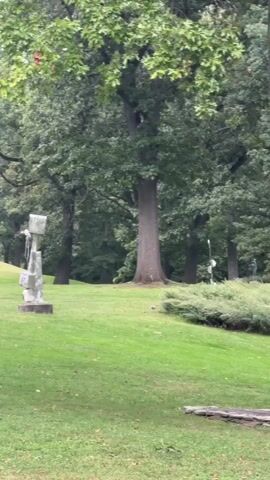 The video shows a park-like setting with a lush green lawn and mature trees. In the foreground, there are two sculptures. The sculpture on the right is abstract, made of stacked geometric shapes. The sculpture on the left appears to be figurative, possibly depicting a person or animal. Further back, a person wearing a blue shirt and black pants walks away from the camera, approaching a large, light-colored tent or dome-shaped structure on a grassy hill. Another person is partially visible behind the tent. The overall atmosphere is serene and natural.