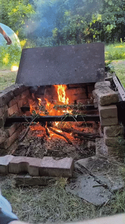 Backyard barbecue with sausages and cold drinks in Sofia