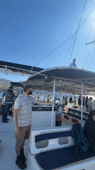 Tourist catamaran operates off Funchal coast with sightseeing passengers