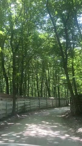 The video shows a perspective from a moving vehicle traveling down a dirt road through a forest. On the left side of the road, there is a low, grey, horizontal barrier made of precast concrete sections. Beyond the barrier, the forest is dense with tall trees and lush green foliage. Sunlight filters through the leaves, casting dappled shadows on the road. On the right side of the road, the forest continues, with more trees and some wooden fencing or structures visible in the distance. The road itself appears to be a path rather than a paved surface. The overall impression is of a drive through a shaded, natural environment on a sunny day.