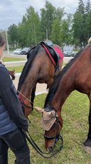 Community festival draws families to Chaikovsky park activities