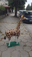 Handmade giraffe sculptures spotted across Blagoevgrad, Bulgaria