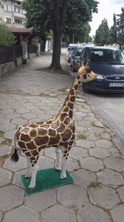 Handmade giraffe sculptures spotted across Blagoevgrad, Bulgaria