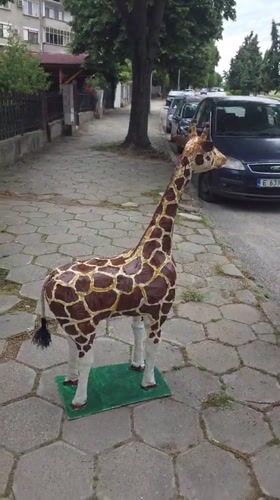 Handmade giraffe sculptures spotted across Blagoevgrad, Bulgaria