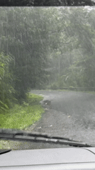 Heavy Rain Obscures Mountain Road Travel in Baturiti