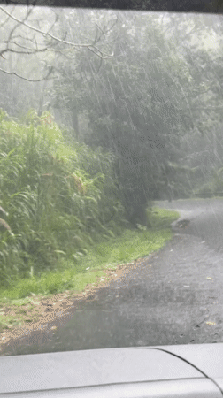 Heavy Rain Obscures Mountain Road Travel in Baturiti