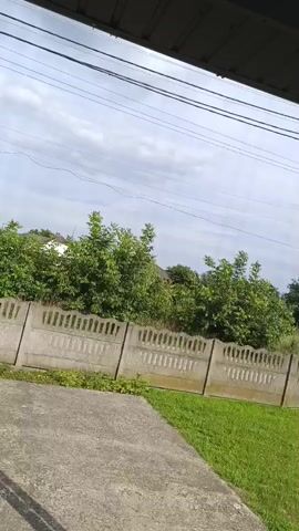 The video shows a residential outdoor scene. In the foreground, there is a gray concrete surface, possibly a driveway or patio, with shadows cast upon it. Beyond this, a concrete fence runs horizontally across the frame, featuring a decorative, scalloped pattern along its top edge. Behind the fence, a lush green hedge or line of trees forms a natural barrier. In the background, a black wrought-iron gate is visible, supported by two stone pillars. The sky is partly cloudy with a light gray hue. Overhead, power lines are strung between poles, suggesting the presence of electricity infrastructure. The overall environment appears to be a rural or suburban setting.