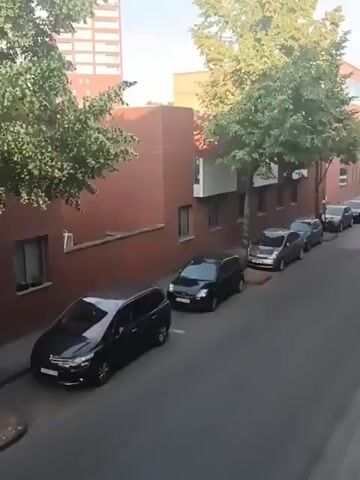 The video shows a street scene with cars parked along the side. A tree with green leaves is prominent in the foreground, with a building made of red brick behind it. Tall buildings are visible in the background. The perspective is from a slightly elevated position, looking down at the street. The lighting suggests it is daytime, possibly late afternoon or early evening, with soft light casting shadows. There are no people visible in the video. The cars appear to be parked legally along the curb. The scene is quiet and still, with no apparent activity.
