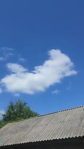The video shows a bright blue sky with scattered white clouds. In the lower part of the frame, there is a grey, corrugated roof of a building and the green leaves of trees. The camera pans slightly to the left, revealing more of the trees and the sky. The lighting suggests it is daytime and sunny.
