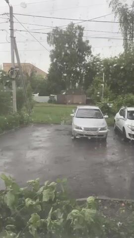 The video captures a cloudy day with rain falling. In the foreground, lush green plants are visible. The middle ground shows a wet asphalt parking lot with a silver car parked. To the right of the silver car, a portion of a white car is visible. In the background, there's a grassy area with trees and a building. A utility pole with wires stands to the left of the frame. The rain is evident through droplets on the window or camera lens, and visible streaks on the pavement.