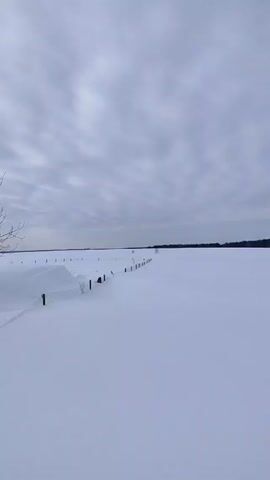 The video shows a snow-covered field under a cloudy sky. A wire fence runs along the left side of the field, with wooden posts sticking out of the snow. The field stretches to a dark treeline in the distance. Snowdrifts are visible near the fence. The camera pans slightly to the right, revealing more of the snow-covered field and a small cluster of trees to the right. The sky remains overcast.