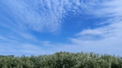 Fishing on a calm Kazakh river under a rippled summer sky