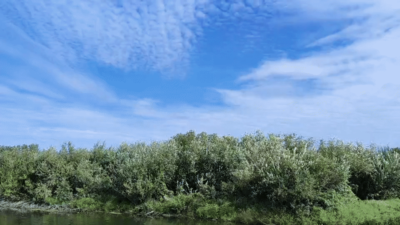 Fishing on a calm Kazakh river under a rippled summer sky