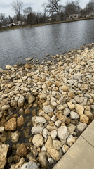 Fast-flowing river captured from multiple viewpoints in Gurnee