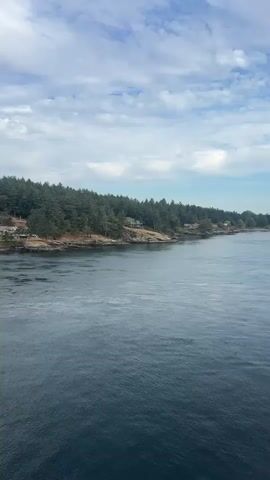 The video shows a drone flying over the water, with a view of a tree-covered coastline. The sky is cloudy, and the water is dark blue. The coastline is rocky, with a few houses scattered among the trees. The drone appears to be moving forward, as the coastline gets closer and then recedes. The video is shot from a high angle, giving a sense of scale and perspective. There are no people or animals visible in the video. The overall impression is one of natural beauty and tranquility.