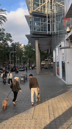 Couple walks dog on Barcelona street amid modern architecture