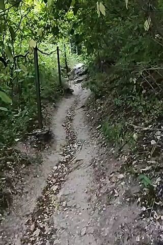 A first-person perspective video shows a dirt path winding through a forest. The path is narrow and uneven, with loose stones and dirt. On the left side of the path, there is a metal fence with green poles. Dense green foliage lines both sides of the path, with trees and bushes creating a canopy overhead. The lighting suggests it is daytime, with sunlight filtering through the leaves. The camera appears to be moving forward along the path, giving the impression of walking or hiking. The overall environment is natural and somewhat wild, with the path appearing to be a trail through a wooded area. There are no people or animals visible in the video. The audio features the sound of footsteps on the dirt path and the rustling of leaves.