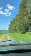 Vehicle travels dirt road through Russian countryside on sunny day