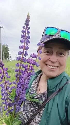 The video shows a woman in a field holding a tall purple lupine flower. She is wearing a green jacket, a patterned shirt, a baseball cap, and sunglasses. The woman smiles and makes a funny face at the camera. The background is a field with trees and a cloudy sky.