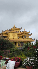 Morning scenes from Da Lat temple grounds and park paths