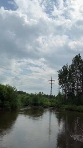A slow pan captures a serene river flowing through a lush green landscape. Towering pine trees line the right bank, their dark silhouettes stark against a sky dotted with fluffy white clouds. A tall, lattice-like transmission tower stands in the distance on the left, its electrical wires stretching across the frame, hinting at civilization within the wilderness. The water reflects the sky and trees, creating a mirror image of the tranquil scene. The camera pans upwards, focusing on the dense canopy of the pine trees, their branches reaching towards the sky. The sun peeks through the clouds, casting a soft glow on the leaves and creating a sense of peace and quiet.