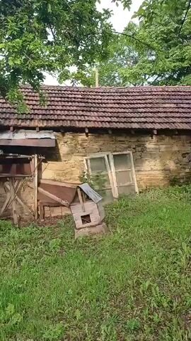 The video shows a rural scene. There is a weathered stone building with a tile roof, overgrown vegetation, and a well-worn tree. The tree has a large cavity in its trunk, possibly from damage. The video's camera moves across these elements of the environment. A voice speaks in the background.