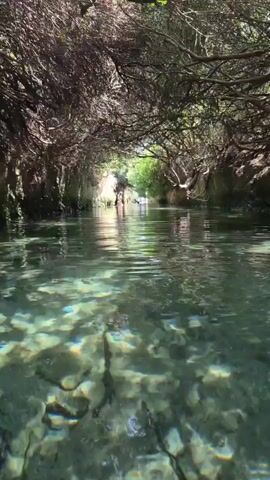The video shows a narrow waterway with clear, shallow water. The bottom of the waterway is visible and appears to be covered in rocks and pebbles. The waterway is surrounded by dense vegetation, with branches and leaves forming a canopy overhead, creating a tunnel-like effect. In the distance, there are a few people wading through the water, some of whom appear to be children. The water is rippling, suggesting a gentle current or movement. The scene evokes a sense of a natural, secluded environment.