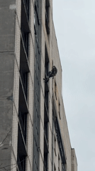 Morning activities captured across Saint Petersburg locations