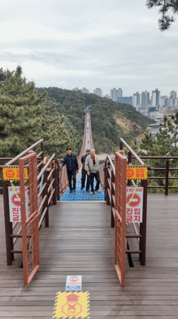 Morning coastal views and bridge crossing documented in Ulsan