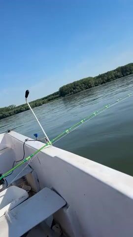A fishing rod is mounted on the side of a white boat that is on a body of water. The sky is clear and blue. The water is calm and reflects the sky. Trees line the distant shore.