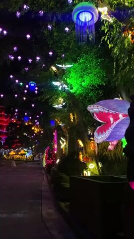 The video displays a nighttime scene with an illuminated pathway winding through a park or garden. Various colorful lights and lanterns adorn the trees and structures. In the foreground on the right, a large, purple, cartoonish snake head decoration with its mouth open is visible. Further down the path, on the left, a tall, red, pagoda-like structure is lit up. A whimsical, castle-like structure with yellow lights is also prominent on the left. Numerous small, spherical purple lights hang from the trees above, creating a canopy effect. The pathway itself is paved and appears to be made of asphalt, with white painted lines suggesting it may be a road or walking trail. The overall atmosphere is festive and magical, likely due to a light festival or special event. There are no visible people in the immediate foreground, but figures can be faintly seen in the distance along the pathway. The trees are lush and green, providing a dark backdrop against which the lights stand out vividly. The ground is dark and reflects some of the ambient light.