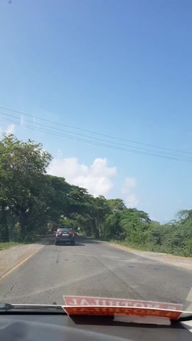 This media file captures a drive on a road in Koovathur, India. The scene is set on a sunny day, indicated by the bright blue sky with a few scattered white clouds and the strong sunlight casting shadows on the road. The road is paved and appears to be a two-lane highway, bordered by lush green vegetation on both sides.

The most striking feature of the scene is the canopy of large trees that arch over the road, creating a tunnel-like effect. These trees have dense foliage, providing ample shade. The activity taking place is vehicular traffic. Several cars are visible on the road, moving in the same direction as the camera. One car in the foreground, a white SUV, has a license plate that is partially visible and appears to be from India. Another dark-colored car is further ahead.

In the foreground, on the dashboard of the vehicle from which the video is recorded, a red and white object with some text is visible but illegible. There are also power lines running overhead. The overall mood conveyed is one of a pleasant journey through a scenic, tree-lined route on a clear day. The setting suggests a rural or semi-rural environment in India, given the location context and the style of vehicles and road.