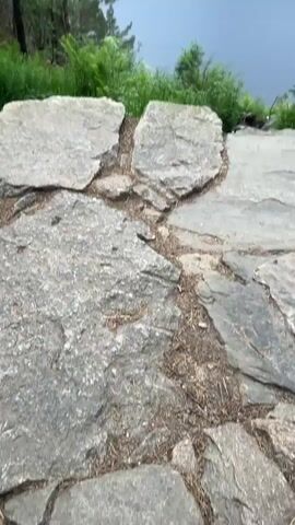 The video captures a serene natural landscape viewed from a rocky overlook. The foreground features several large, irregularly shaped stones, suggesting a natural or rustic pathway. Beyond the rocks, lush green foliage, including ferns and smaller plants, thrives, creating a vibrant border.

Dominating the mid-ground is a calm, dark body of water, likely a fjord or lake, stretching out towards a distant, mountainous horizon. The water's surface is still, reflecting the overcast sky. The surrounding hills are covered in dense green forests, with patches of lighter green indicating trees or vegetation.

The scene is framed by tall, slender trees on either side, their branches reaching upwards and partially obscuring the sky. The trees have dark bark and numerous green leaves, indicating a temperate climate and likely a spring or summer season. The overall atmosphere is tranquil and somewhat somber, due to the overcast, grey sky, which suggests a cloudy or potentially drizzly day. The light is diffused, creating a soft, even illumination across the landscape. The time of day appears to be daytime, but the cloudy conditions make it difficult to pinpoint more precisely.

There are no people or visible man-made objects other than the stones in the foreground, which could be part of a trail. The video conveys a sense of peace and the untouched beauty of nature. The location cues, such as the fjord-like body of water, the mountainous terrain, and the specific types of trees and vegetation, are consistent with a natural setting in Norway. No text is visible in the media.