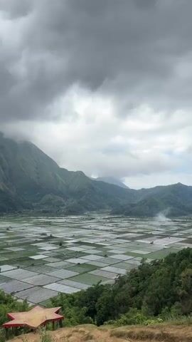 A scenic view of lush green mountains under a cloudy sky. In the foreground, a star-shaped platform with red trim is visible. Below the mountains, a vast expanse of terraced rice paddies stretches out, reflecting the overcast sky. Trees and foliage frame the lower part of the image. There are no people or animals visible in the video. The overall atmosphere is serene and natural, with a hint of dramatic weather.