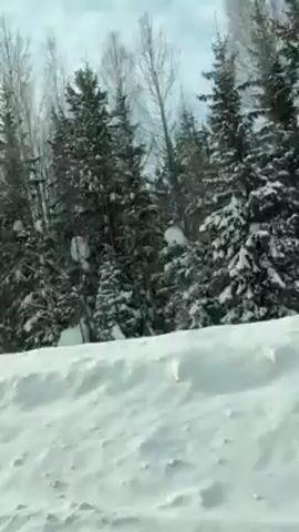 The video depicts a snowy landscape from the perspective of a moving vehicle. The foreground shows a large snowdrift, while the background consists of a dense forest covered in snow. The sky is overcast and grayish. The camera appears to be shooting through a window, potentially a car window, as the scene moves by steadily. The overall impression is that of a cold, snowy, and isolated winter environment.