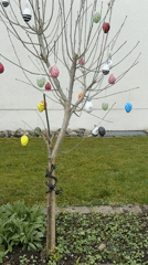 Colorful Easter egg tree decoration spotted in Ampfing, Germany