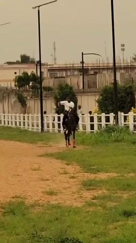 The video shows a man riding a dark-colored horse on a grassy field. The man is wearing a white shirt and the horse has red coverings on its legs. A white fence runs along the edge of the field, and behind the fence are some trees and buildings under construction. There are people standing behind the fence watching the man ride. The day appears overcast.
