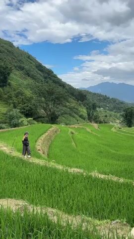 A woman walks through a terraced rice paddy in a mountainous region. The paddies are filled with bright green rice plants. She wears a black outfit with white shoes and a baseball cap. Behind her is a steep, green hill, and in the distance, more mountains under a partly cloudy sky. The sun shines on the fields.