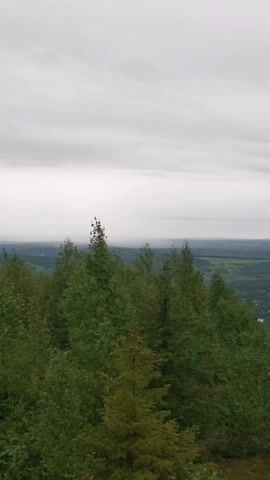 The video pans across a forested landscape under a cloudy sky. The foreground features a dense cluster of green trees, primarily deciduous with some evergreens interspersed. The trees are tall and lush, obscuring the ground in places. As the camera pans to the right, the view opens up to reveal a distant valley with a patchwork of fields, scattered buildings, and more trees. The horizon is a soft, hazy line where the sky meets the land. The overall impression is of a natural, somewhat overcast landscape viewed from an elevated position.