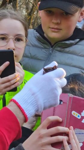 Person in red hoodie addresses crowd in Vinnytsia park
